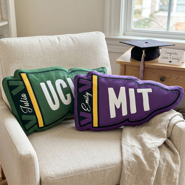 Custom School Pennant Flag - Personalized Pillow